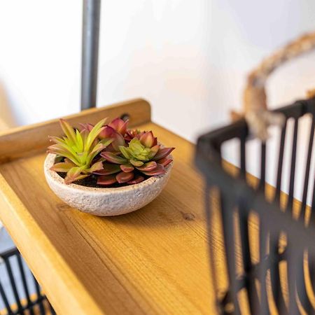 Apartment Elbkiez - Zentrale Lage In دريسدن المظهر الخارجي الصورة